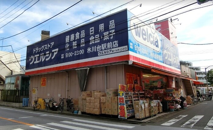 ウエルシア氷川台駅前店(ドラッグストア)まで239m 大野ハイツ