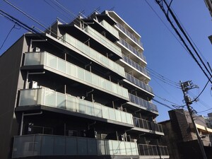 HY s crecer 清澄白河(313)