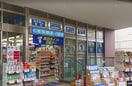 くすりのダイイチ(ドラッグストア)まで450m パレスプラム