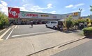 スギ薬局　石神井台店(ドラッグストア)まで352m メゾンベレール