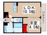 アムール野火止 1LDKの間取り