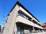 ノースポール欅