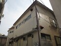 完成写真