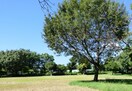 郷土の森公園(公園)まで1400m アゼリア Ⅲ