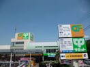 サミットストア 石神井台店(スーパー)まで600m セントラルハイツ