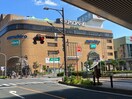 まるひろ(ショッピングセンター/アウトレットモール)まで2050m 仮)KEIAIRESIDENCE北上尾Ⅱ