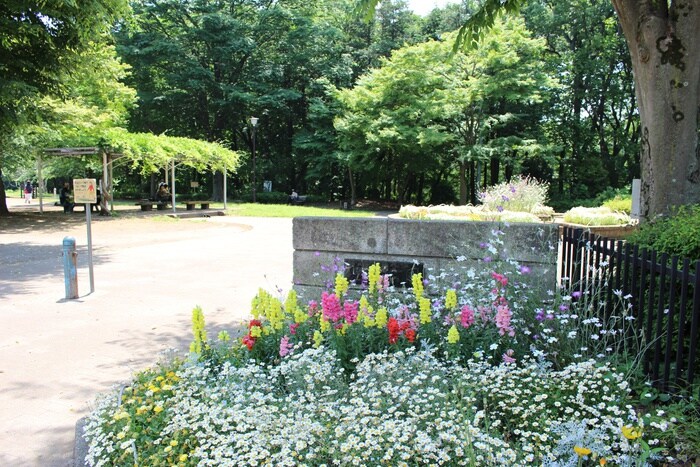 忠生公園　(公園)まで1357m ロバリア古淵