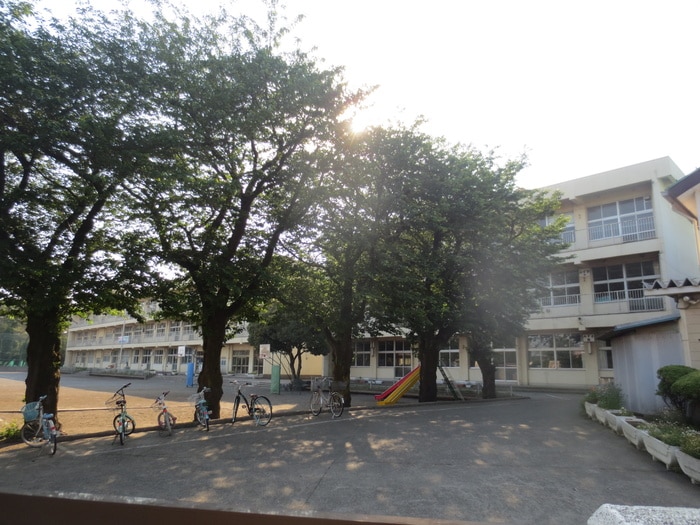 相模原市立大野台小学校(小学校)まで595m オーチャード・ヒルズ