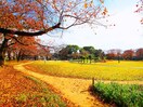 花畑公園(公園)まで600m グレイシア草加瀬崎