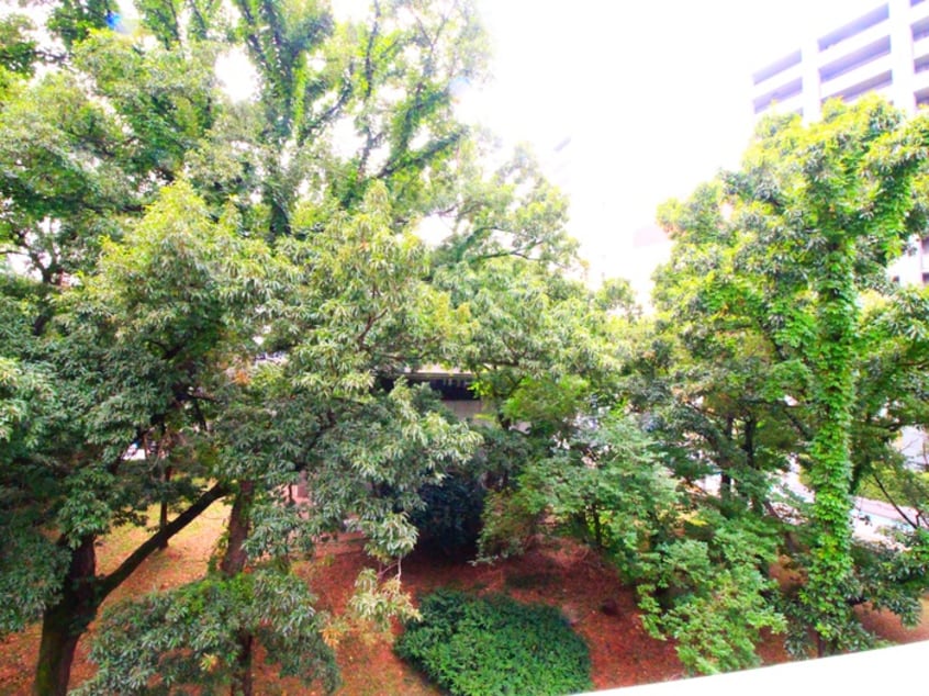 室内からの展望 ＧＲＥＥＮ　ＳＱＵＡＲＥ志木