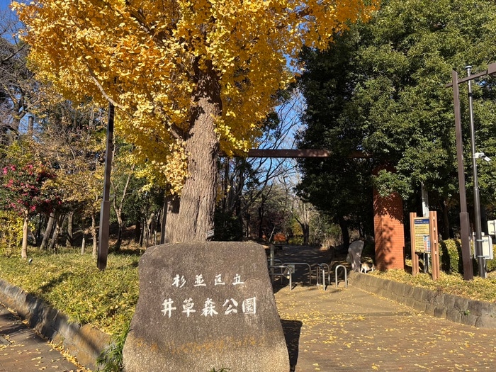 井草森公園(公園)まで500m パステ－ル長谷