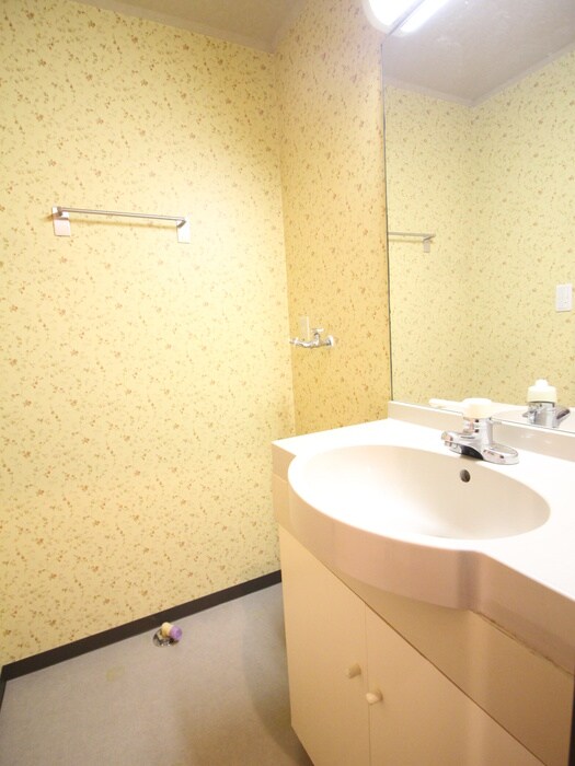 洗面 アパ－トメントカヤ田園調布