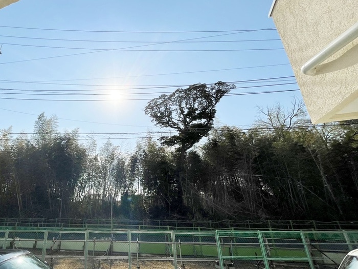 室内からの展望 BaumRoom美園