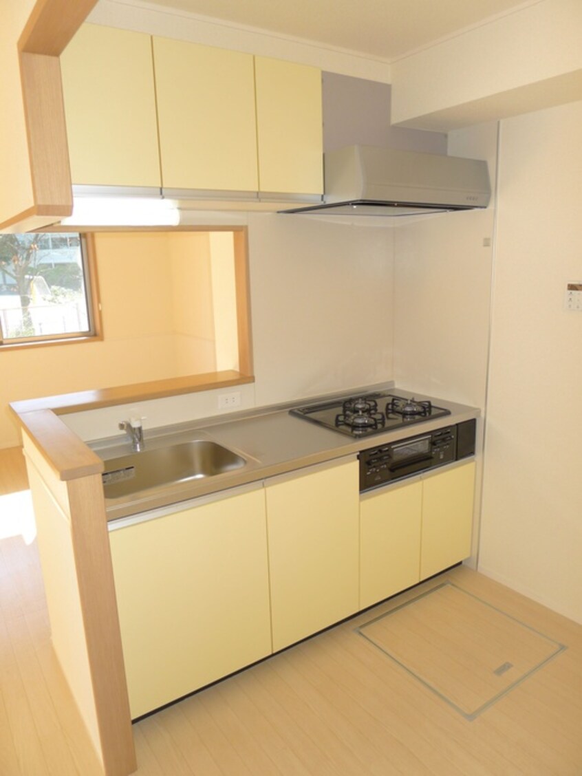キッチン ドリームヒルズⅡ