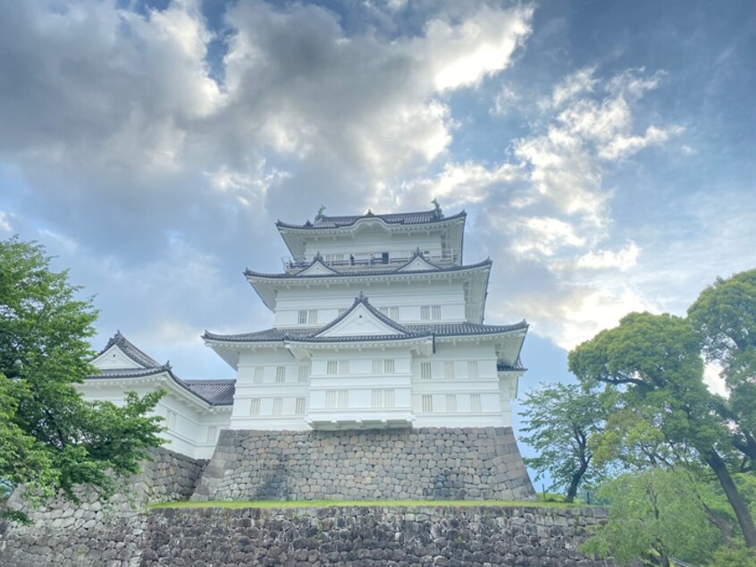 小田原城(美術館/博物館)まで1280m 城山2丁目一戸建て