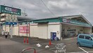 ドラッグセイムス 綾瀬中央店(ドラッグストア)まで700m スカイハイツ