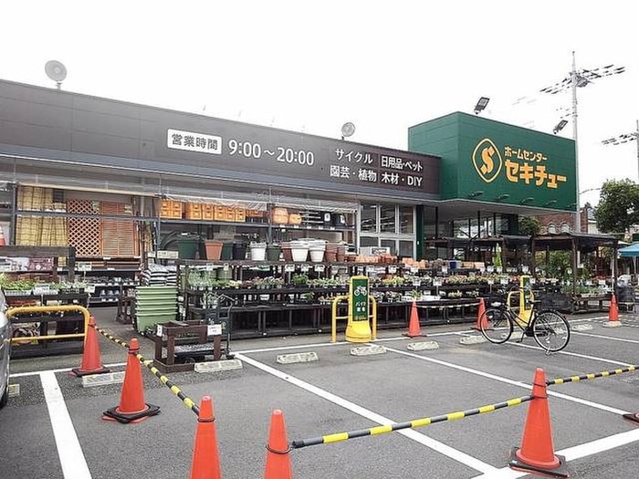 セキチュー(電気量販店/ホームセンター)まで900m コンティネント
