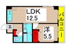 ロイヤルパレス綾瀬 1LDKの間取り