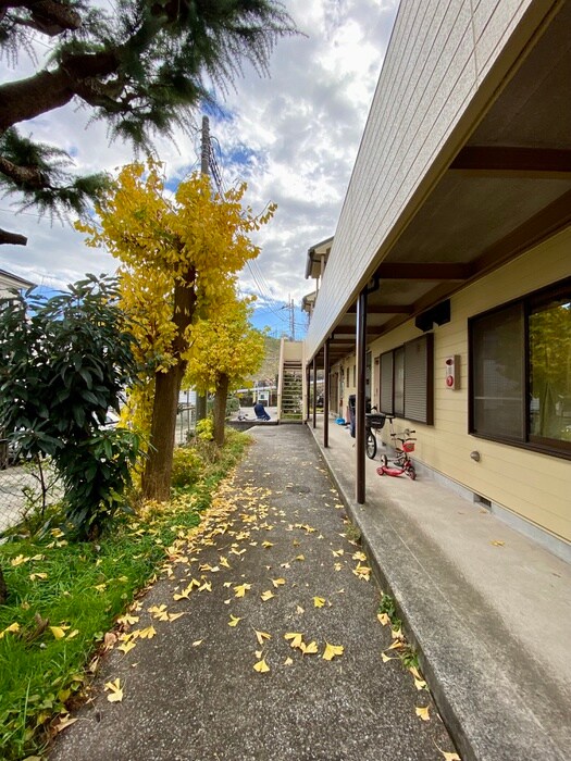 エントランス部分 プレアデス