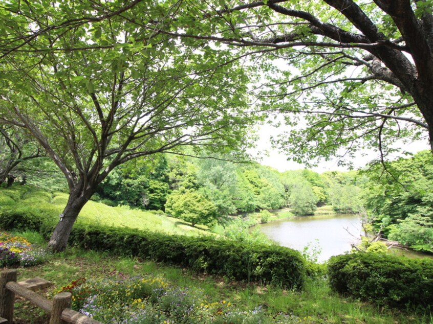 青葉の森公園(公園)まで370m グレイス司