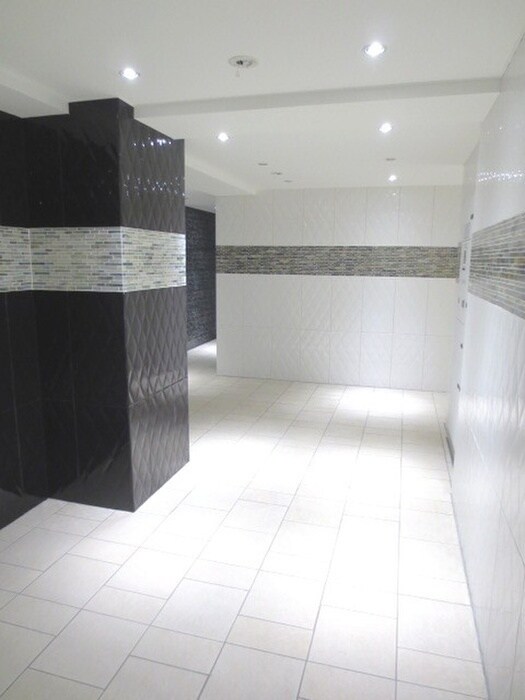 エントランス部分 プレミアムキューブ広尾(603)