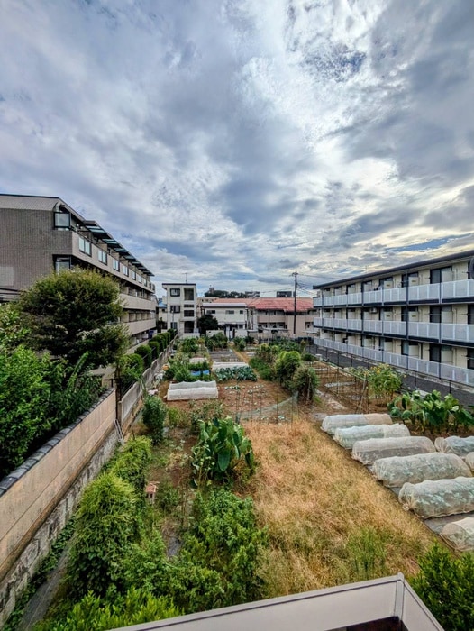 室内からの展望 サニ－中村南