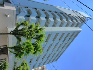 アクシルコ－ト新大橋(308)