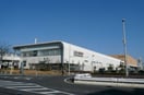 コクーン(ショッピングセンター/アウトレットモール)まで500m 新都心ＨＢ