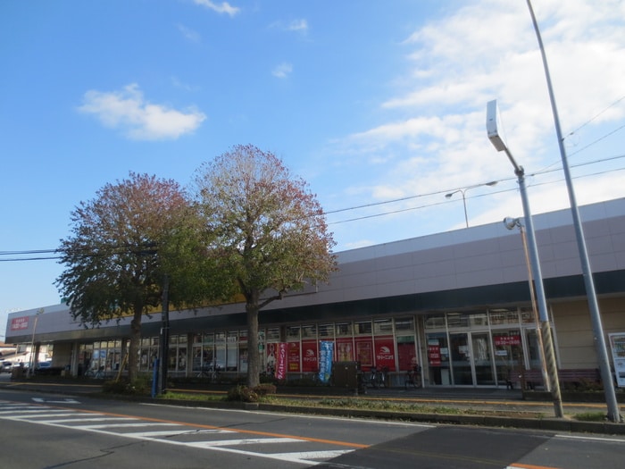 ランドロームフードマーケット都賀店(スーパー)まで765m アンビション・若松Ｄ棟