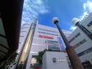 イトーヨーカドー(スーパー)まで370m アミュ－ト杉浦