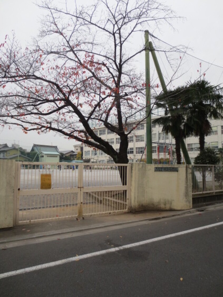 池上小学校(小学校)まで550m 第３横溝コ－ポ