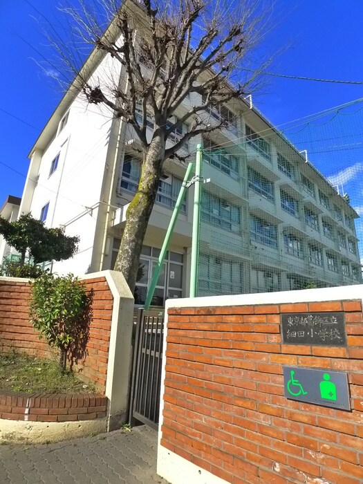 葛飾区立細田小学校(小学校)まで121m グランドソレーユ