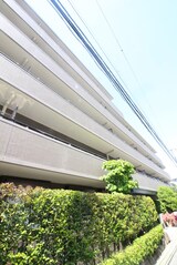 コスモ学芸大学（309）