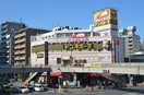 ドン・キホーテ亀戸店(スーパー)まで172m アーバンタニ