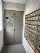 その他 ロワールヒエダ