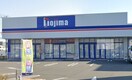 ノジマNEW湘南台店(電気量販店/ホームセンター)まで684m 仮）D-room亀井野