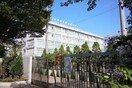 江戸川区立西葛西小学校(小学校)まで1100m Alivis西葛西norte
