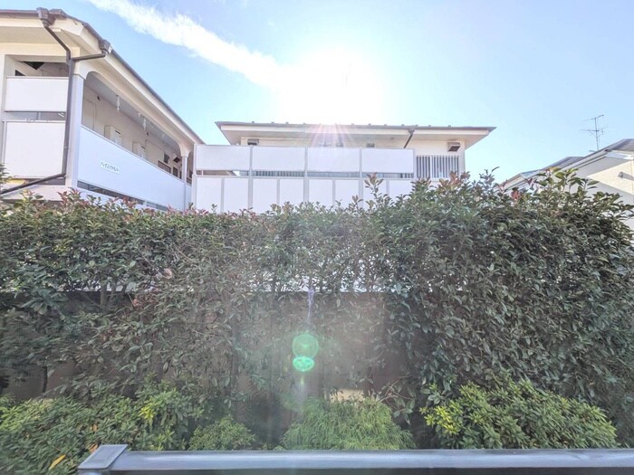 室内からの展望 桜ハウス大八木