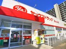 ヤックスドラッグ(ドラッグストア)まで461m サンセット柏たなか