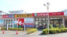 スギ薬局 大倉山店(ドラッグストア)まで301m ユーフォリア大倉山