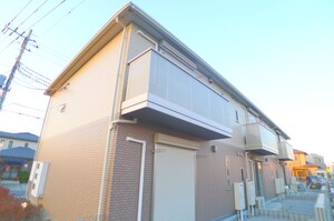 パーシモン