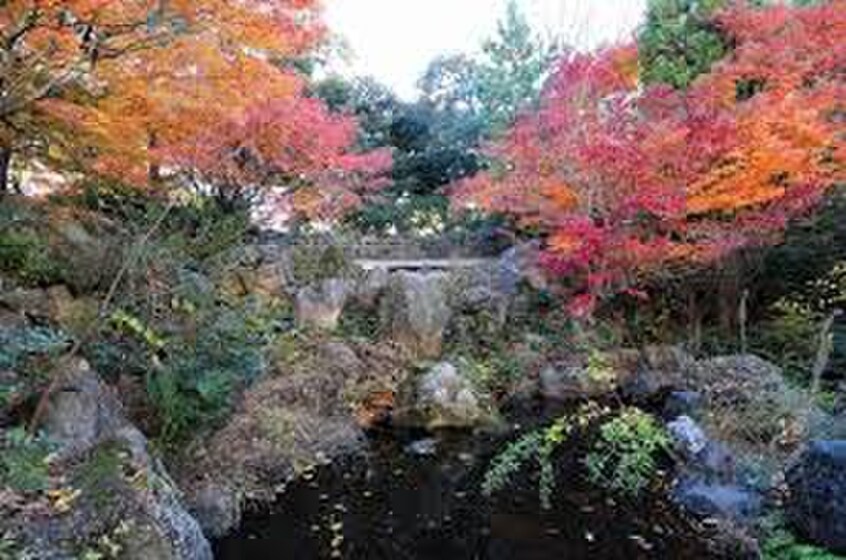 中野区立紅葉山公園(公園)まで700m サンライズ中野坂上