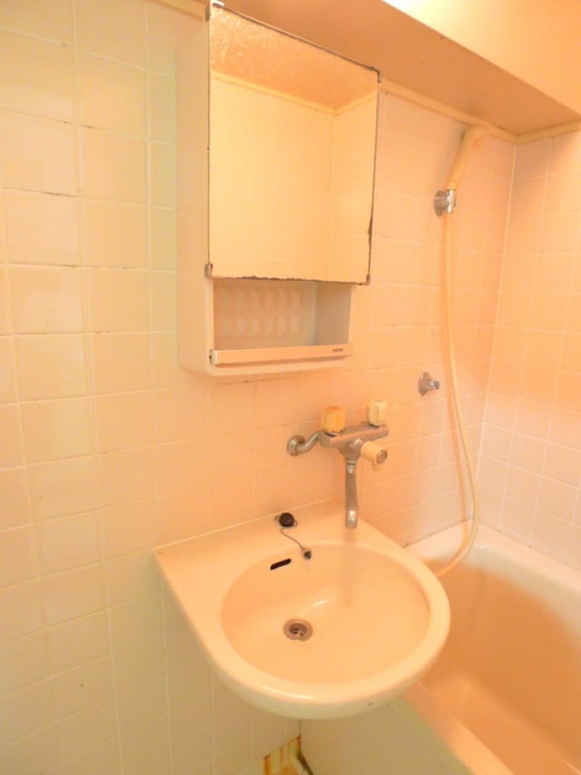 洗面 大成ルームズ