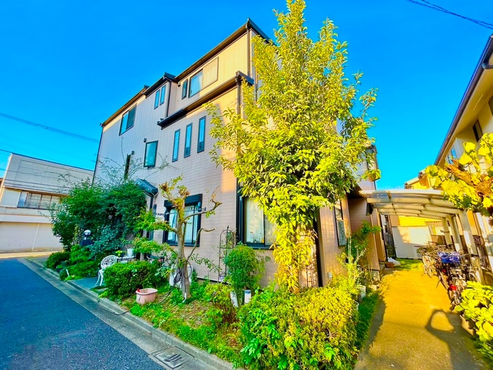 外観写真 Ｓｈｉｎｅ　ｗｏｏｄｓ