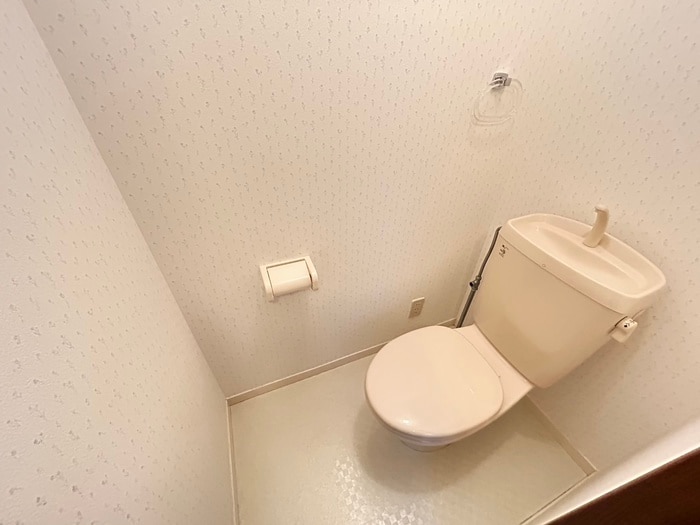 トイレ Ｓｈｉｎｅ　ｗｏｏｄｓ