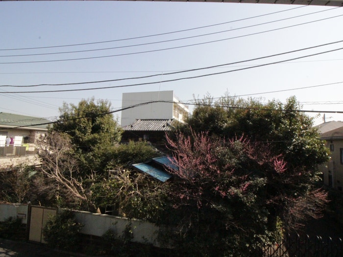 室内からの展望 モン・シャトー中野中央