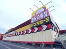 ドン・キホーテ(ディスカウントショップ)まで1100m ベルシオン宮野木