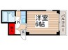 メゾン林 1Kの間取り