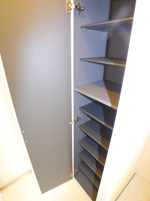 靴箱 リブリ・ラシーナⅡ