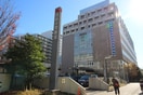 西新井警察署(警察署/交番)まで426m アルテハイム西新井